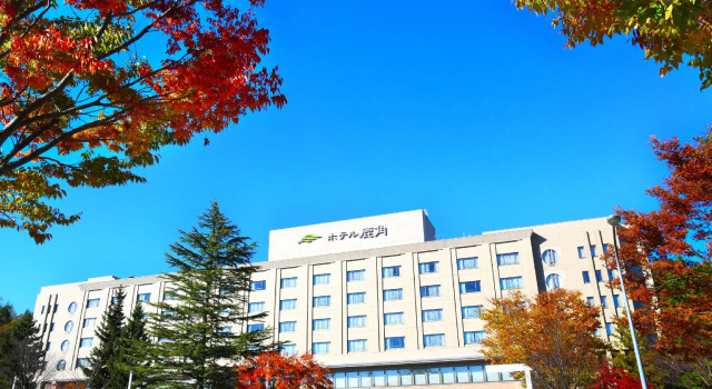 Номер Standard Hotel Kazuno