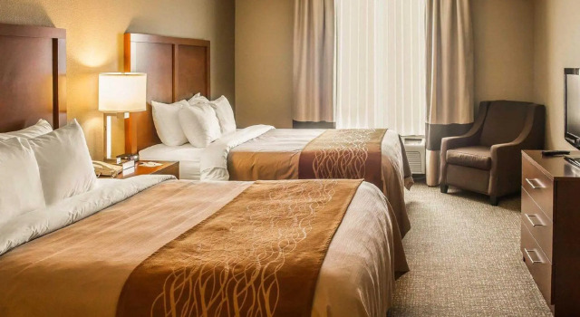 Четырёхместный номер Standard Quality Inn & Suites Georgetown - Seaford