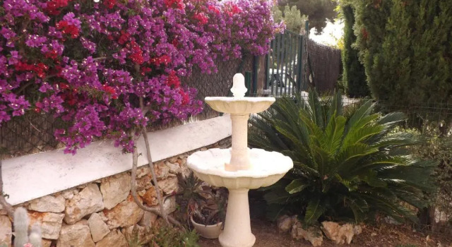 Апартаменты Superior Bungalow Playa dOr, 2