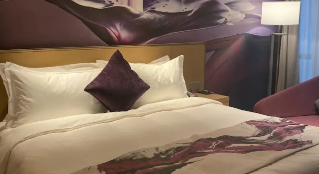 Номер Standard Novotel Zhengzhou Airport