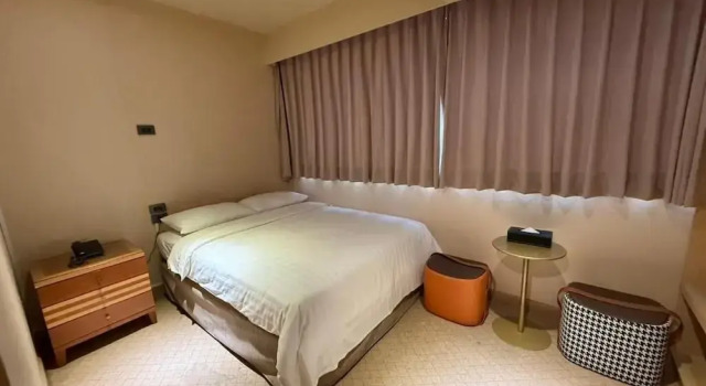 Двухместный номер Deluxe Rich & Free Hotel - Fuzhong 富逸旅趣-板橋府中館