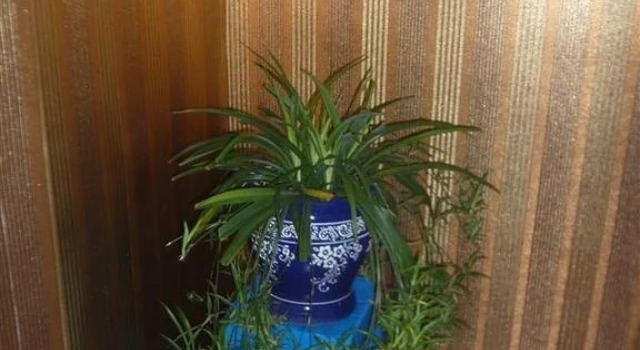 Yangzhong Sanmao sunshine Motel, Rezerwuj Motel Yangzhong Jiangsu