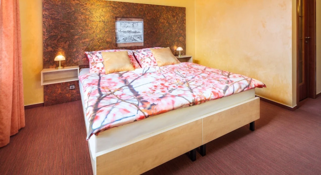 Двухместный номер Standard Hotel Conti