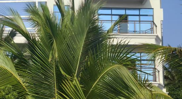 Mountain and Sea Homestay, Book Hotel Sanya Hainan