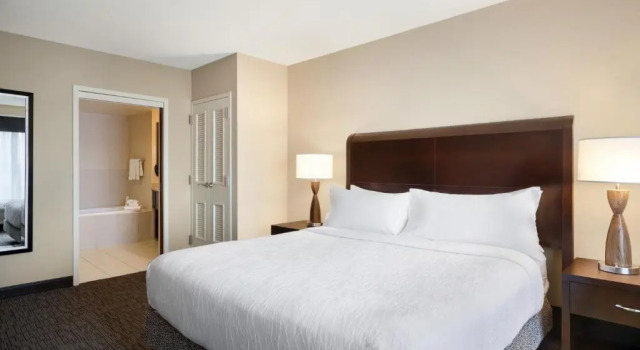 Двухместный номер Premium Hilton Garden Inn Atlanta Downtown