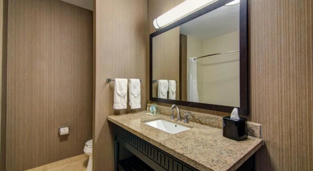 Люкс Holiday Inn Arlington NE-Rangers Ballpark by IHG