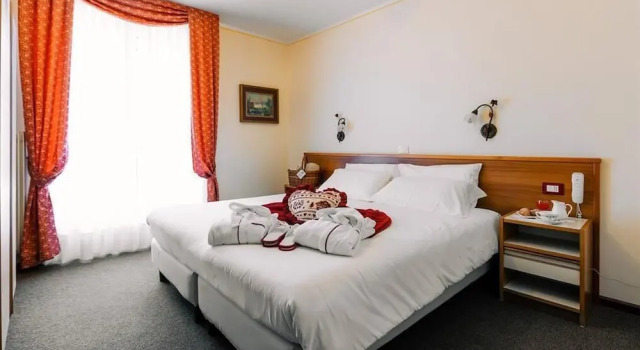 Номер Standard с видом на озеро Hotel des Alpes