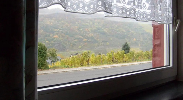 Двухместный номер Standard Pension Kroth an der Mosel