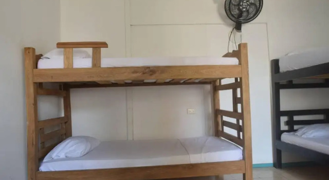 Кровать в общем номере Mango Tree Hostel CTG 420