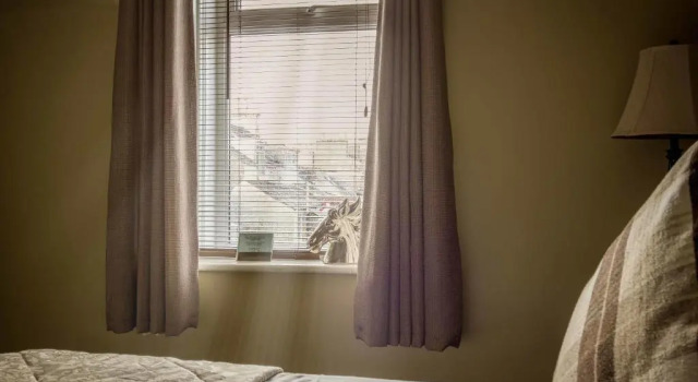 Двухместный номер Standard The Blackhorse Accommodation