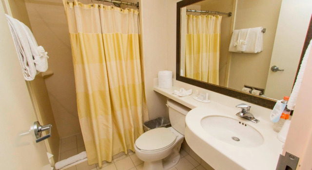 Двухместный номер Standard Wyndham Garden Monterrey Aeropuerto