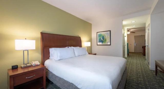 Люкс Hilton Garden Inn Meridian