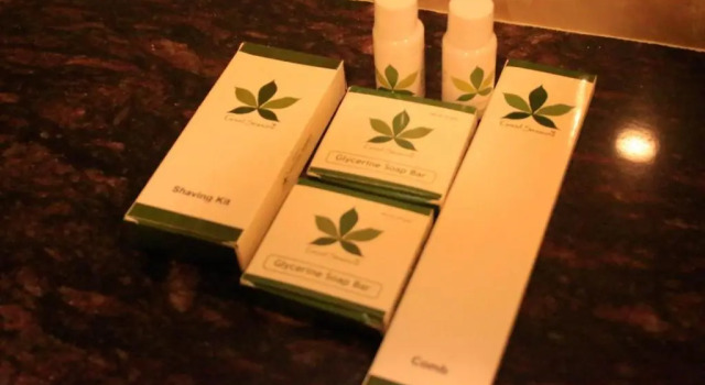 Номер Deluxe Arogyadham Wellness Retreat