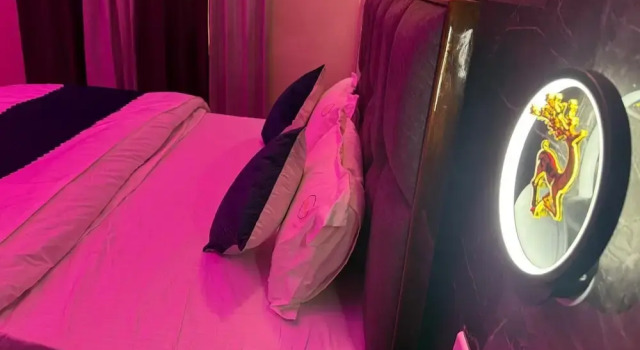 Hotel Paradise - Chandigarh