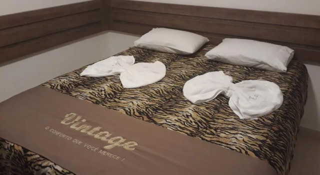 Двухместный номер Standard Hotel Vintage