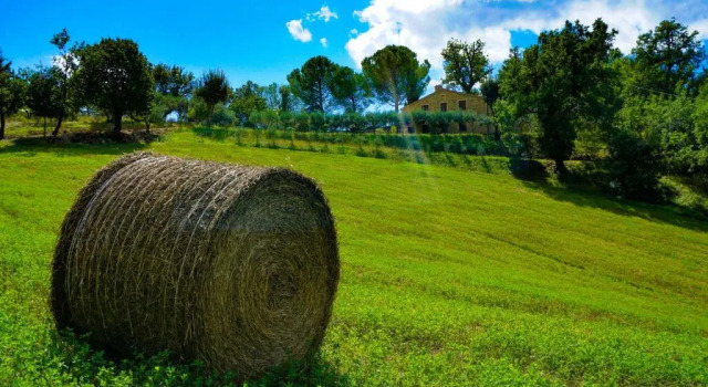 Апартаменты Цокольный этаж с 2 комнатами Agriturismo Pascucci