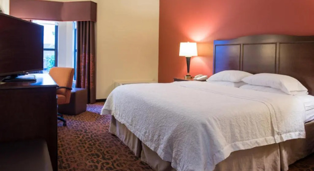 Номер Study Hampton Inn & Suites Tampa-North