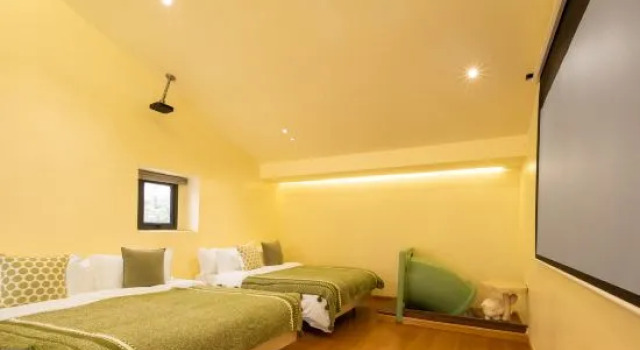 Семейный люкс Дуплекс Pingtan Zilan Seaview Manor
