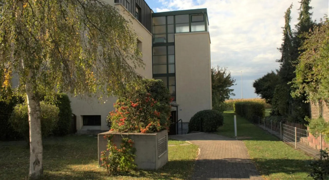 Cozy, Large, Modern, Apartment - in Basel