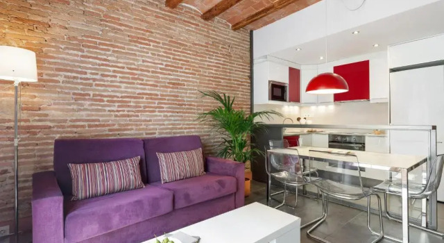 Апартаменты c 1 комнатой Dailyflats Raval