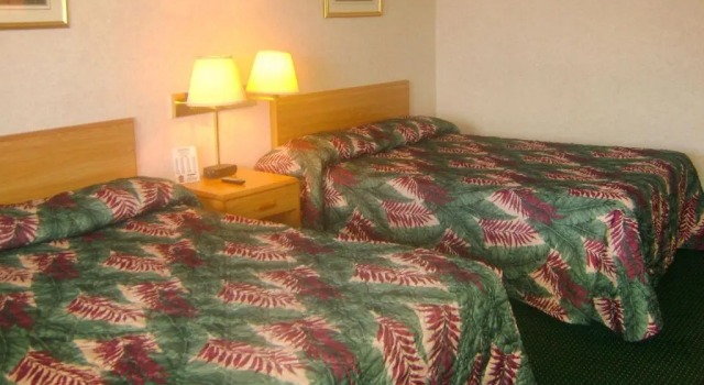 Четырёхместный номер Standard Alma Motel