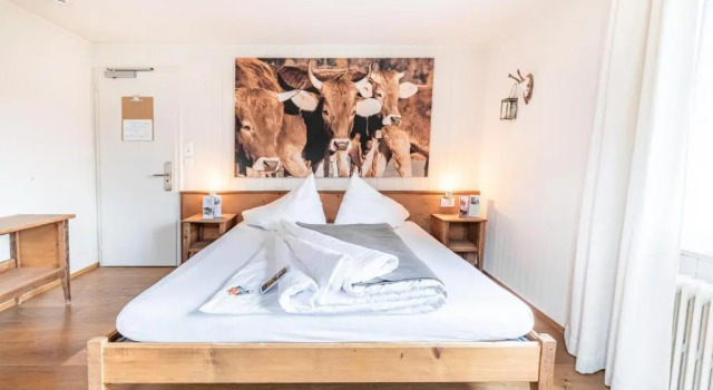 Двухместный номер Standard Hotel Kaiserstuhl