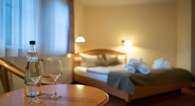 Двухместный номер Standard Hotel Amselgrundschlößchen