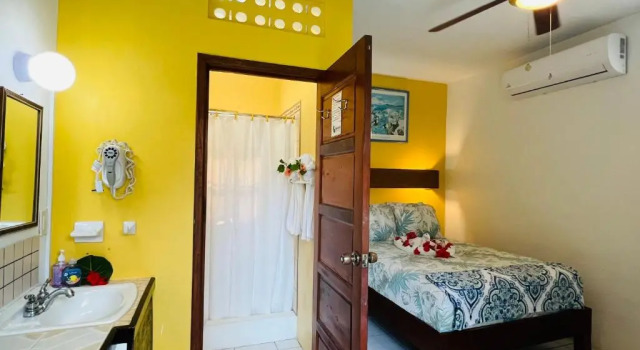 Двухместный номер Deluxe Hotel Del Rio