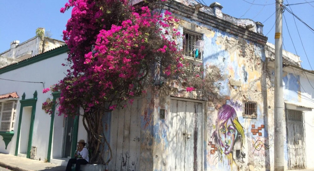 Old Town Premium