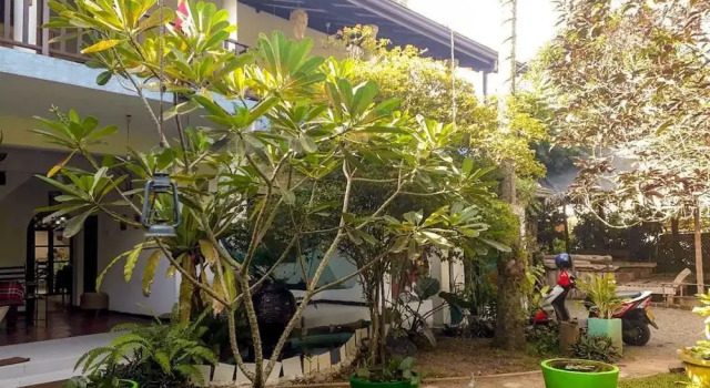 Unawatuna Hostel Honey Packers