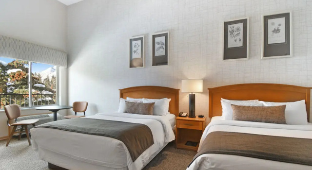 Premium Vierer Zimmer Banff Inn