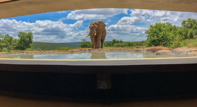 Laluka Safari Lodge