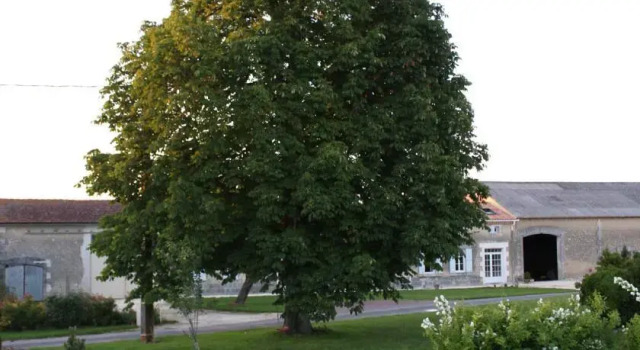 Chambres d'Hôtes de l'Epine, Rezervovat Hotel Challignac Charente
