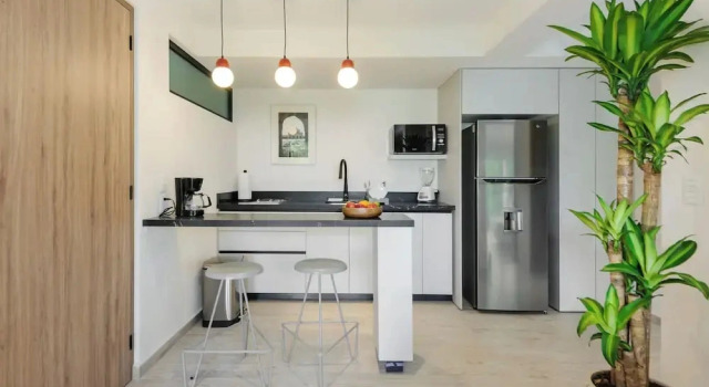 Двухместный люкс Luxury Choapan 28 - Lux Apartments in Condesa