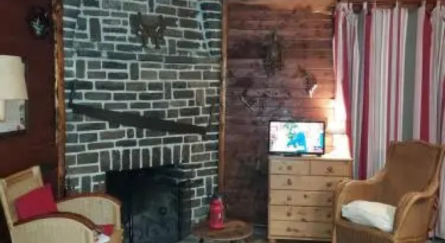 Chalet Des Pins D'autriche