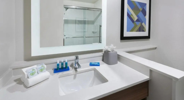 Люкс Holiday Inn Express & Suites Bryan - College Station by IHG