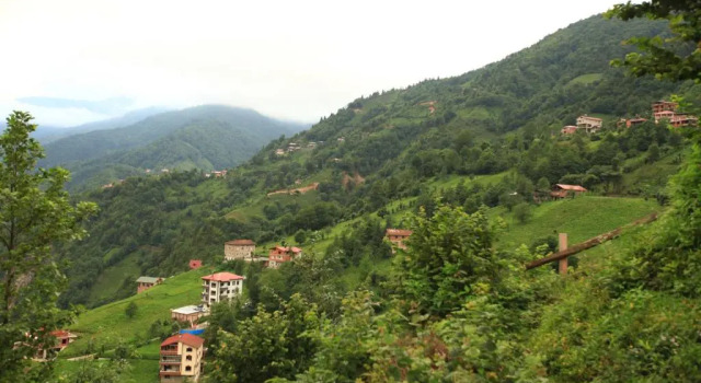 Люкс Kinya Bungalov Hotel