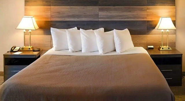 Двухместный номер Deluxe Clarion Hotel Philadelphia International Airport