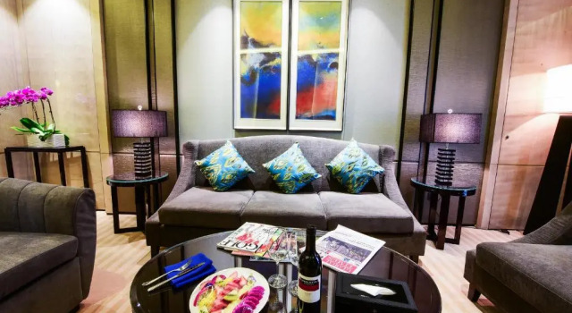 Одноместный люкс Deluxe Tylfull Hotel