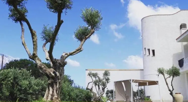 Villa Eagle