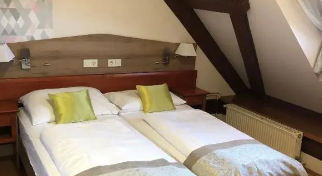 Номер Economy Gizella Hotel and Restaurant