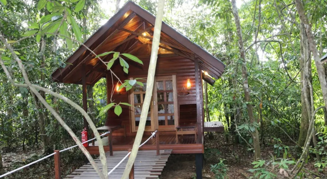 Номер Deluxe с балконом Borneo Natural Sukau Bilit Resort