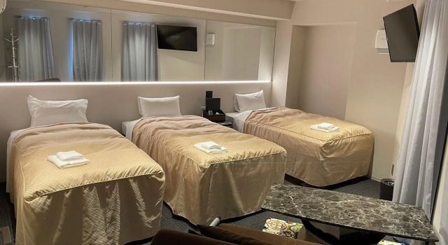 Трёхместный номер Standard Hotel Wisteria Nara
