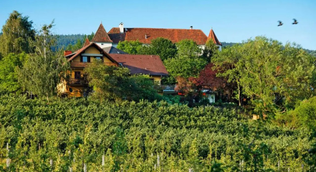 Апартаменты с видом на сад Landhaus GRETE