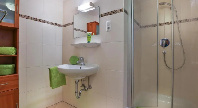 Апартаменты c 1 комнатой с балконом Ferienhaus Wiesenlehen