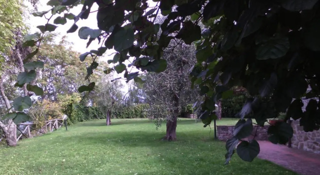 Коттедж Holiday home Belvedere