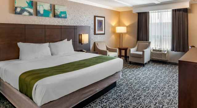 Двухместный люкс Quality Inn & Conference Centre