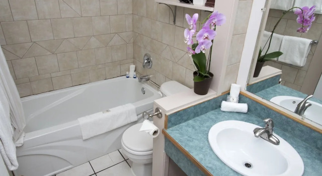 Четырёхместный люкс Valley Star Motel