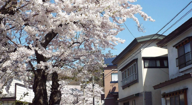 Tsubakikan, Reserva ahora Hostal o pensión Asamushi Aomori