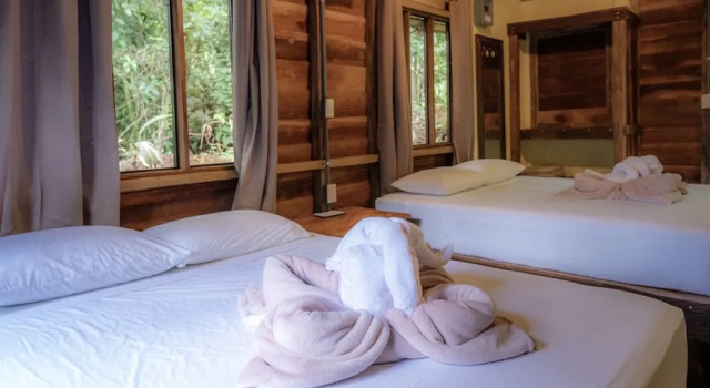 Номер Standard La Tigra Rainforest Lodge